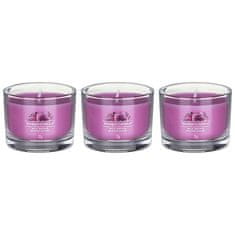 Yankee Candle Sada votívnych sviečok v skle Wild Orchid 3 x 37 g