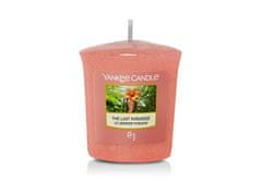 Yankee Candle Aromatická votívna sviečka The Last Paradise 49 g