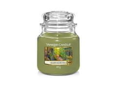 Yankee Candle Aromatická sviečka Classic stredná Autumn Nature Walk 411 g