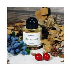 Accord Oud - EDP 100 ml