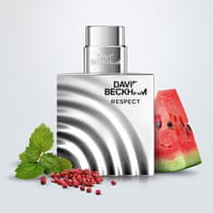 David Beckham Respect - EDT 90 ml