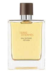 Hermès Terre D`Hermes Eau Intense Vetiver - EDP 100 ml