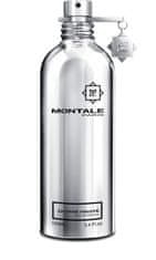 Montale Paris Chypré Fruité - EDP - TESTER 100 ml