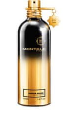 Montale Paris Amber Musk - EDP 100 ml