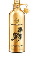 Montale Paris Arabians - EDP 2,0 ml - vzorka s rozprašovačom