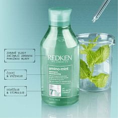 Redken Čistiaci šampón pre citlivú pokožku a rýchlo sa mastiace vlasy Amino Mint (Shampoo) (Objem 300 ml)