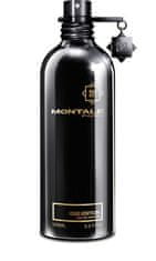 Montale Paris Oud Edition - EDP - TESTER 100 ml