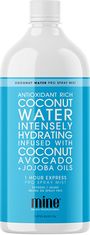 Minetan Samoopaľovacia nástreková tekutina Coconut Water Pro Spray Mist 1000 ml