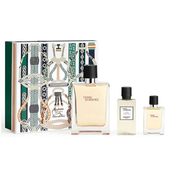 Hermès Terre D` Hermes - EDT 100 ml + voda po holení 40 ml + EDT 12,5 ml