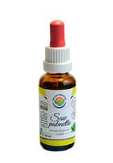 Salvia Paradise Saw palmetto štandardizovaný extrakt (Objem 50 ml)