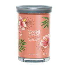 Yankee Candle Aromatická sviečka Signature tumbler veľký Tropica l Breeze 567 g