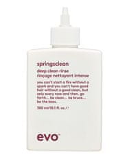 EVO+ Hĺbkovo čistiaci šampón pre kučeravé a vlnité vlasy Springsclean (Deep Clean Rinse) 300 ml