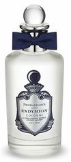 Endymion - EDC 100 ml