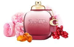 Coach Wild Rose - EDP 90 ml