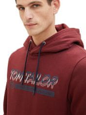 Tom Tailor Pánska mikina Regular Fit 1039649.10574 (Veľkosť XL)