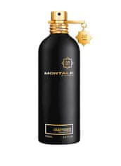 Montale Paris Oudyssee - EDP 100 ml