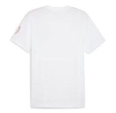 Puma Tričko ČESKÁ REPUBLIKA Ftblicons Tee white Velikost: XXL