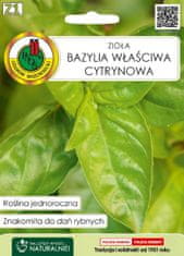 BOBIMARKET citrónová bazalka bylina semená bylín bez gmo