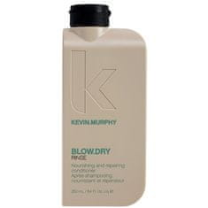 Vyživujúci a obnovujúci kondicionér Blow.Dry Rinse (Nourishing and Repairing Conditioner) (Objem 40 ml)