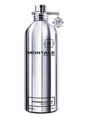 Montale Paris Patchouli Leaves - EDP 2 ml - odstrek s rozprašovačom