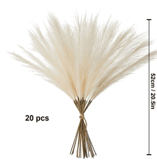 Camerazar Umelá tráva z pampov 20 kusov, rákosie, béžové dekoratívne pierko