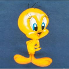 Looney Tunes Tweety tričko L tmavomodré