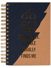 Zápisník Harry Potter - Trouble Finds Me