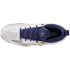 Mizuno Wave Momentum 3 Pánska volejbalová obuv, biela, veľ. 39