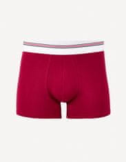 Celio Boxerky Mike S