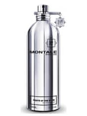 Montale Paris Fruits of the Musk - EDP 100 ml