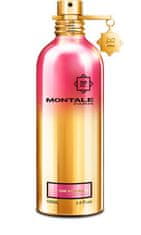 Montale Paris The New Rose - EDP 100 ml