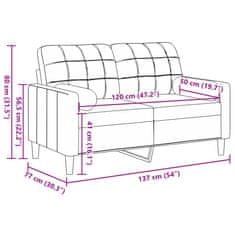 Petromila vidaXL 2-miestna pohovka s vankúšmi tmavosivá 120 cm zamat