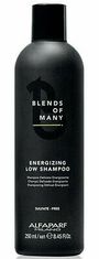 Apm Blends Of Many Energ.Low Shampoo (Objem 250 ml)