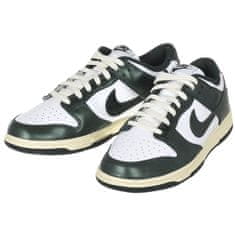 Nike Obuv 42.5 EU Dunk Low