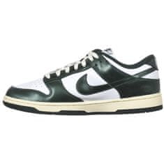 Nike Obuv 42.5 EU Dunk Low