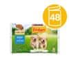 Friskies JUNIOR multipack 48 x 85 g kuře a mrkev ve šťávě