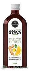 LEROS LEROS 100% ŠŤAVA ZÁZVOR CITRÓN, 250ml