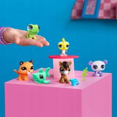 Littlest Pet Shop Pet Surprise - Prekvapenie v krabičke