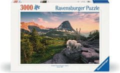 Ravensburger Puzzle Alpská koza s mláďaťom 3000 dielikov