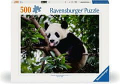 Ravensburger Puzzle Panda 500 dielikov