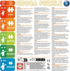 EDUCA Poster puzzle Stitch 250 dielikov