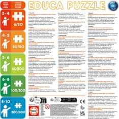 EDUCA Poster puzzle Čarovná Lienka a Čierny Kocúr 250 dielikov