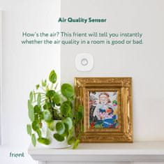 frient Zigbee senzor kvality vzduchu - frient Air Quality Sensor