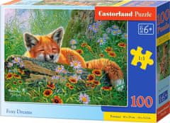 Castorland Puzzle Líščie snívanie 100 dielikov