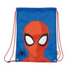 Arditex Spiderman Web Weaver sports bag, gym bag 44 cm