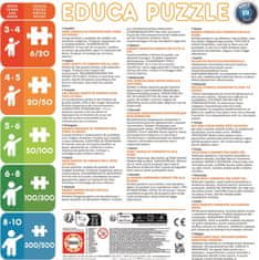 EDUCA Puzzle Čarovná Lienka a Čierny kocúr 2x48 dielikov