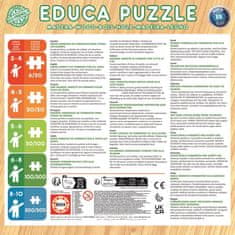 EDUCA Drevené puzzle Ľadové kráľovstvo 2x25 dielikov