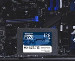 Patriot Patriot P220 - 128GB