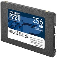 Patriot Patriot P220 - 256GB