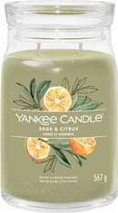 Yankee Candle Vonná sviečka Signature in glass large Sage & Citrus 567g